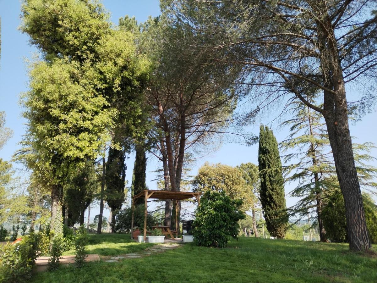 Agriturismo Poggio Rotondo San Gimignano Kültér fotó